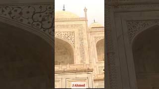 Taz Mahal 