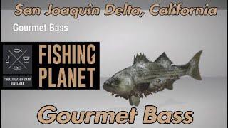 Gourmet Bass - San Joaquin Delta, California - Fishing Planet Guide