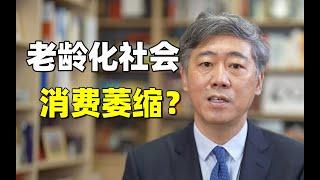 李稻葵：中国60岁以上老年人已经达到2 8亿！中国进入“老龄化社会”，会带来经济发展和消费萎缩的挑战吗？老龄化也会带来哪些机遇？ #经济学  #中国经济