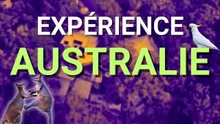 IMMERSION NATURE en PVT AUSTRALIE : Perroquets et Kangourous pendant notre mission Helpx