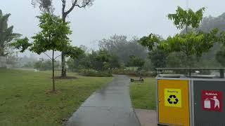 Walking Through a Flooded Hanlon Park