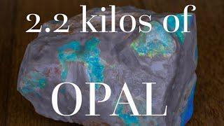 My BIGGEST challenge ever! A massive chunk of Andamooka opal