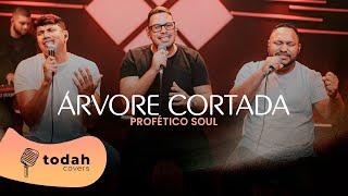 Profético Soul | Árvore Cortada [Cover Valesca Mayssa]