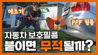 자동차 PPF 보호필름, 어디까지 막아줄까? | 밥테일의 O'car 호기심천국 EP. 36