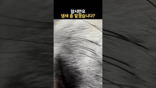 잠시만요 냄새 좀 맡겠습니다?