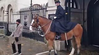 Kings guard moves his horse to make tourist get out of the box #kingstroop