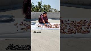 minivlog#401‍️5 கிலோ வற்றல் போடப்போற #shorts #shortsfeed #trending #viral #muthulakki