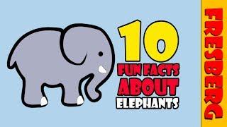 Top 10 Fun Facts about elephants! Learn about animals (Educational Cartoon)