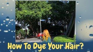 How To Dye Your Hair | Brielle WhatElse