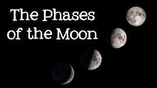 Phases of the Moon: Astronomy and Space for Kids - FreeSchool