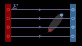 Dipole in an Electric Field