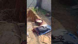 shang jani aslam cook #trendingshorts #viralvideo #AHB Construction