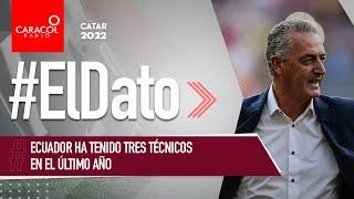 #ElDato Ecuador ha tenido tres técnicos en el último año | Caracol Radio