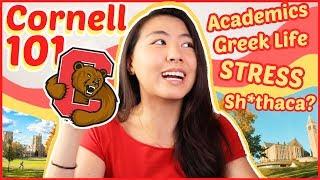 what you actually WANT to know about Cornell: academics, social life, stress culture | Katie Tracy