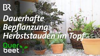 Herbststauden im Topf