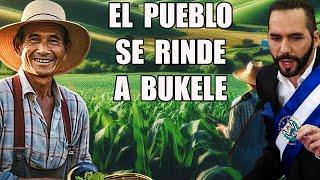 Bukele triplicará la cantidad de agricultores beneficiados ante pérdidas ocasionadas por lluvias