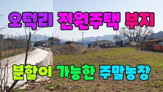 480 오덕리 주말농장매매 분할이 가능한 기북 전원주택부지매매 도로에 잘 접해 있는 포항세컨하우스 부지 매매 주말농장과 전원주택을 동시에 할 수 있는 땅 매매 기북부동산 포항부동산