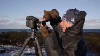 In the Land of Fire and Ice with Joe Cornish | Phase One