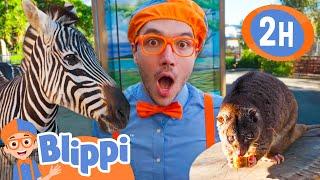 Blippi Spends the Day with Animals! | BEST OF BLIPPI TOYS | Educational Videos for Kids