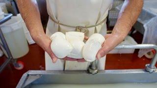 Making Mozzarella in Umbria, Italy