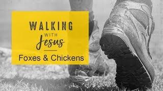 Walking with Jesus: Foxes and Chickens - Pastor Mandy Sayers