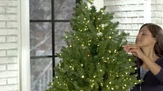 Home Reflections Color Flip Fairy Light Christmas Tree on QVC