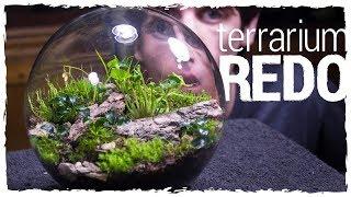 No Opening Terrarium Redo!