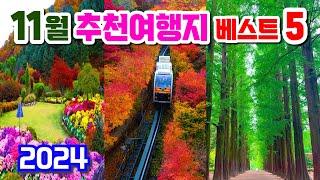 11월 국내 추천 여행지, 가을에 가면 좋은 여행지 추천, 11월 가볼만한곳, 남이섬, 화담숲, 아침고요수목원, 대관령 소나무길