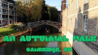 Cambridge walking tour: the Backs, Jesus Green, Portugal Place, Market Square, Mathematical Bridge