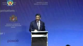 2011 ASEAN-BIS: Welcome Remarks by Mr. Anangga Roosdiono & H.E. Surin Pitsuwan