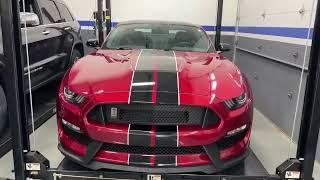 2018 Ford Mustang GT350 at Chicago motor cars