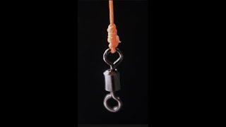 Fishing Knot For Swivel #3