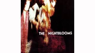 The Nightblooms - Butterfly Girl