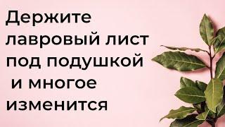 Держите всегда лавровый лист под подушкой. И многое изменится в жизни | Магическая Практика