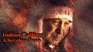 Indian Calling × Cherokee Rose