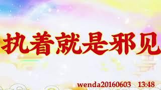 卢台长开示：执着就是邪见wenda20160603  13:48