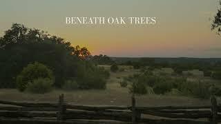 Dylan Gossett - Beneath Oak Trees