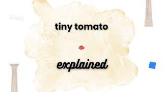 Tiny Tomato EXPLAINED!