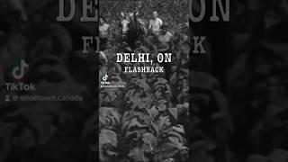 Flashback to Delhi, Ontario!