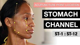 Acupuncture Point Location: The Stomach Channel 1-12 (Stomach Meridian)