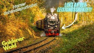 Herbstträume auf der Harzer Schmalspurbahn | An der Leistungsgrenze durch eine märchenhafte Kulisse!