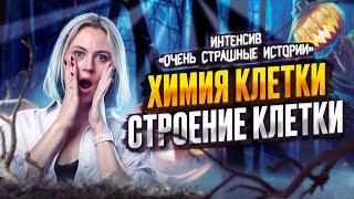 Химия клетки. Строение клетки | Ксения Напольская