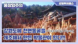 삼척여행 / 압도적 스케일!! / 강원종합박물관