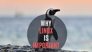 How important is Linux? Everything you need to know about it