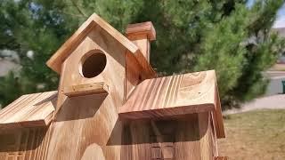 Coleba Bird House Review