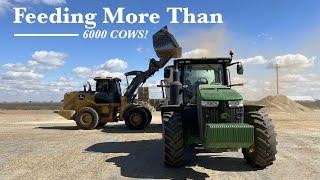 Feeding over 6k cows!