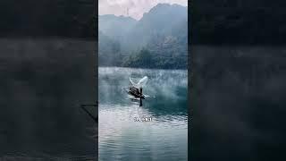 湖南最值得去的20个地方 #湖南 #旅游 #旅行推荐官 #旅行 #盘点