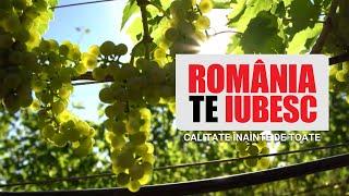 Calitate înainte de toate, un reportaj realizat de echipa România, te iubesc!