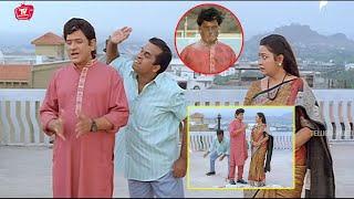 Brahmanandam All Time Best Movie TOp Comedy Scene | Avs Comedy | @TeluguVideoZ