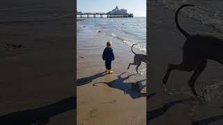 Feeling wobbly about your investments? Watch this...